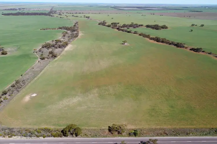 Fourth view of Homely rural property listing, 2815 Birdseye Highway, Cleve SA 5640