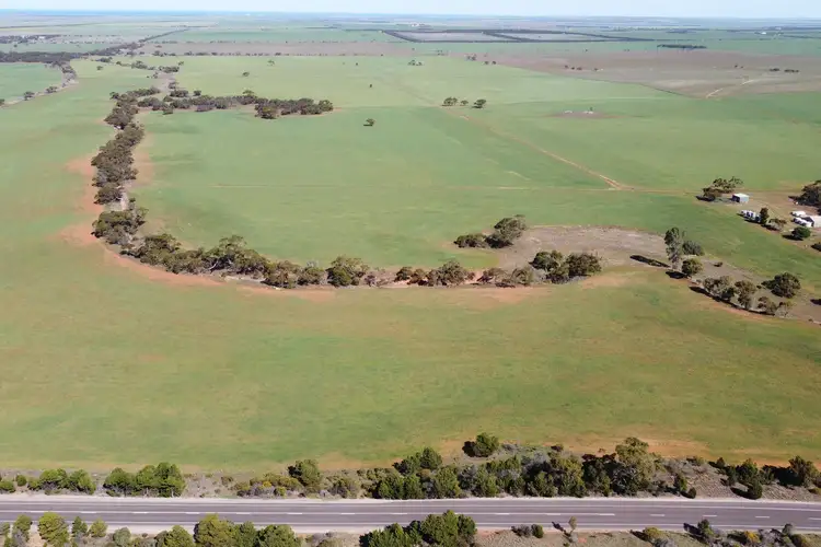 Fifth view of Homely rural property listing, 2815 Birdseye Highway, Cleve SA 5640