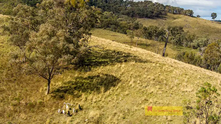 Third view of Homely rural property listing, 1887 Queens Pinch Road, Mudgee NSW 2850