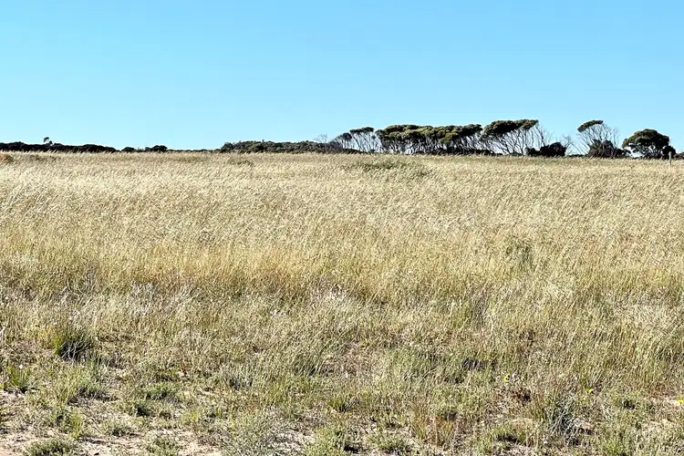 Fourth view of Homely land listing, 145 Bosanquet Boulevard, Ceduna Waters SA 5690