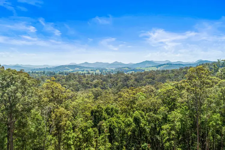 299 Congarinni Road, Congarinni North NSW 2447