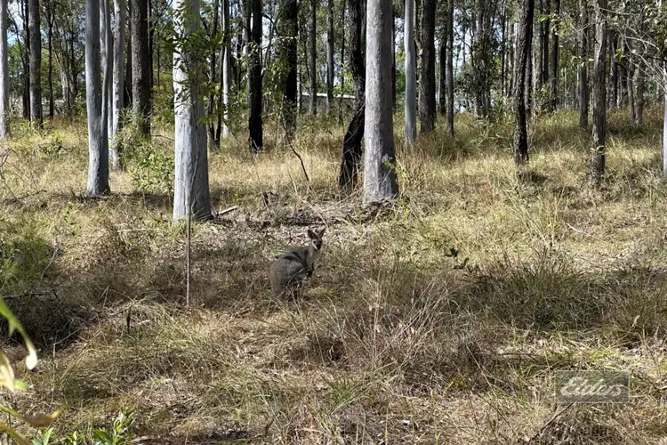 Second view of Homely land listing, Lot 126 Andrew Road, Glenwood QLD 4570