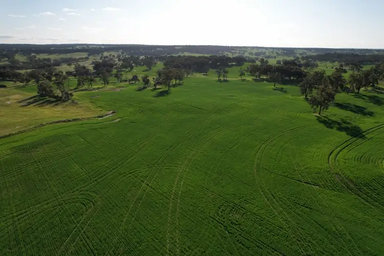 970 Talbot Road, Talbot WA 6302