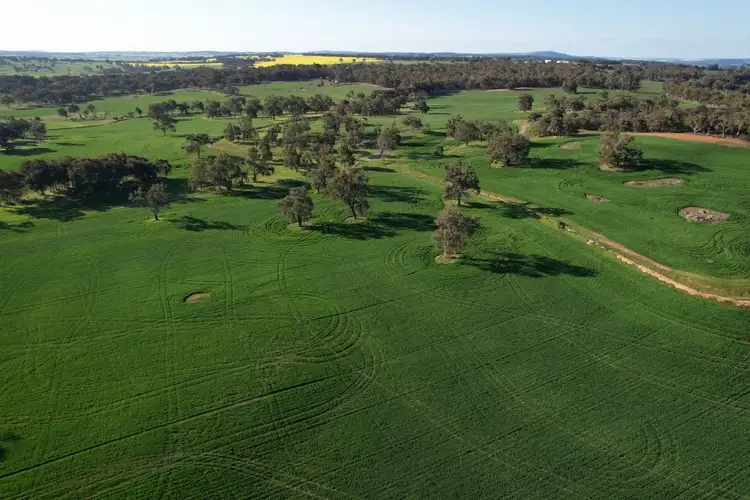 Seventh view of Homely rural property listing, 970 Talbot Road, Talbot WA 6302
