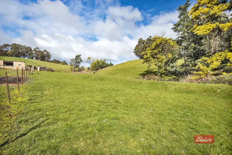 Fourth view of Homely house listing, 387 Castra Road, Ulverstone TAS 7315