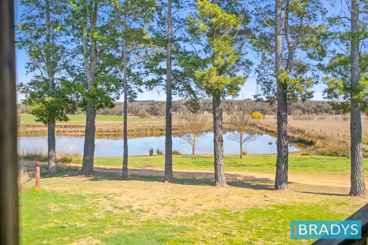 Fifth view of Homely house listing, 528 Back Creek Road, Gundaroo NSW 2620