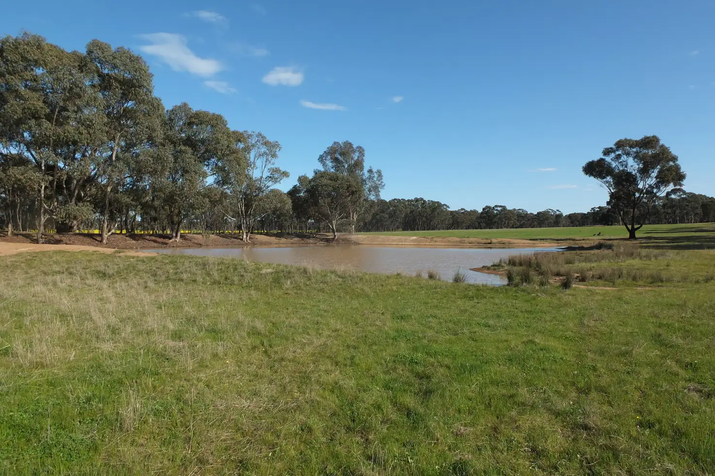 Main view of Homely rural property listing, 1 & 158 Apple Jack Road, Dunolly VIC 3472