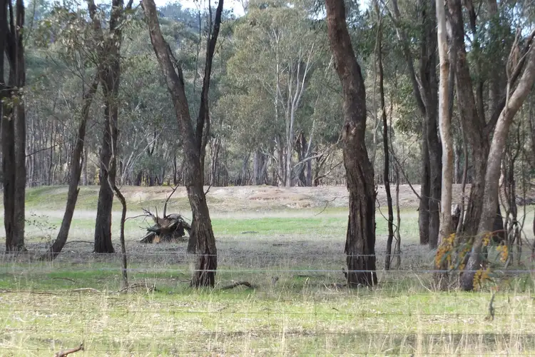 Third view of Homely rural property listing, 1 & 158 Apple Jack Road, Dunolly VIC 3472