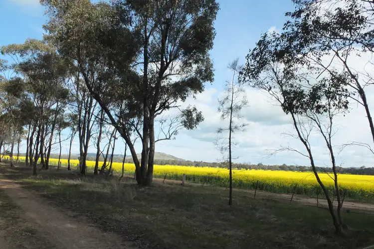 Sixth view of Homely rural property listing, 1 & 158 Apple Jack Road, Dunolly VIC 3472