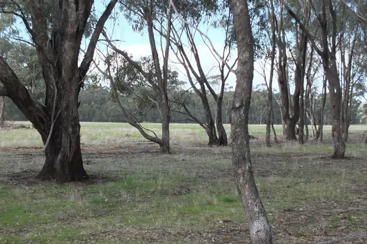 Seventh view of Homely rural property listing, 1 & 158 Apple Jack Road, Dunolly VIC 3472