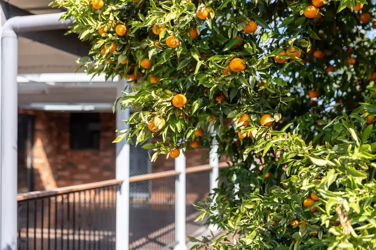 Fifth view of Homely house listing, 46 Cessnock Street, Aberdare NSW 2325