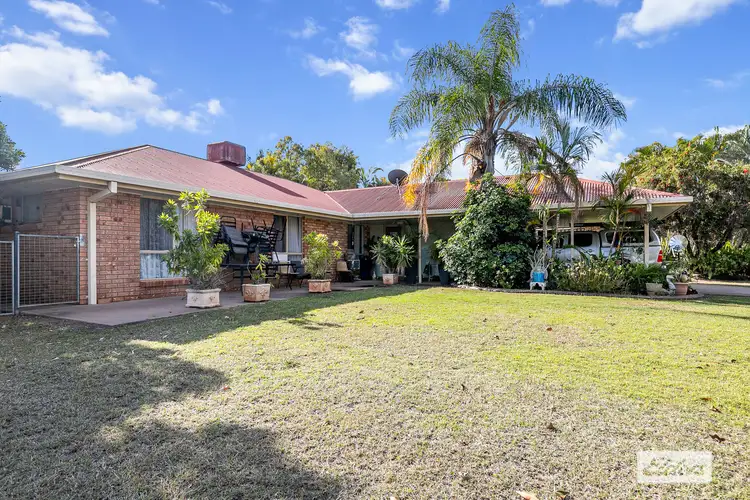 Main view of Homely house listing, 31 Crinum Crescent, Emerald QLD 4720