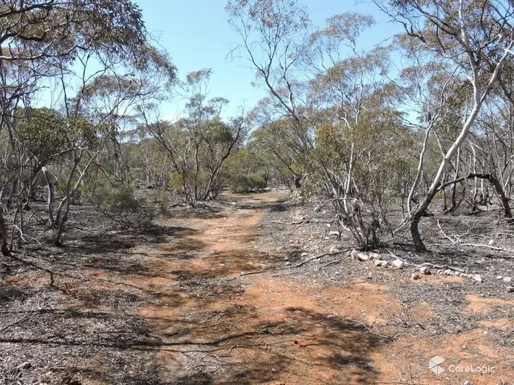 Sixth view of Homely rural property listing, Lot 7 Hundred Line Road, Bowhill SA 5238