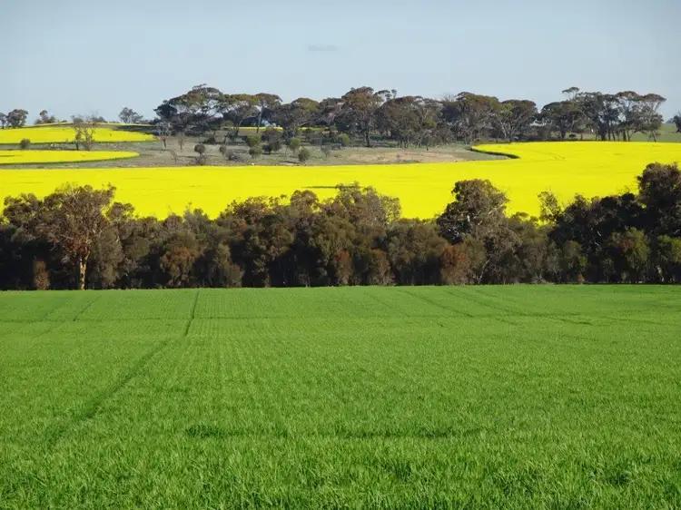 Main view of Homely rural property listing, 340 Walkers Road, Piesseville WA 6315