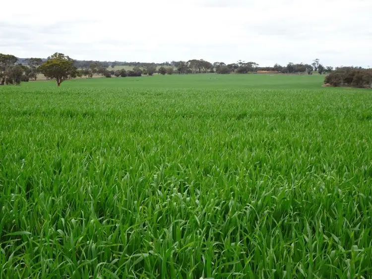 Second view of Homely rural property listing, 340 Walkers Road, Piesseville WA 6315