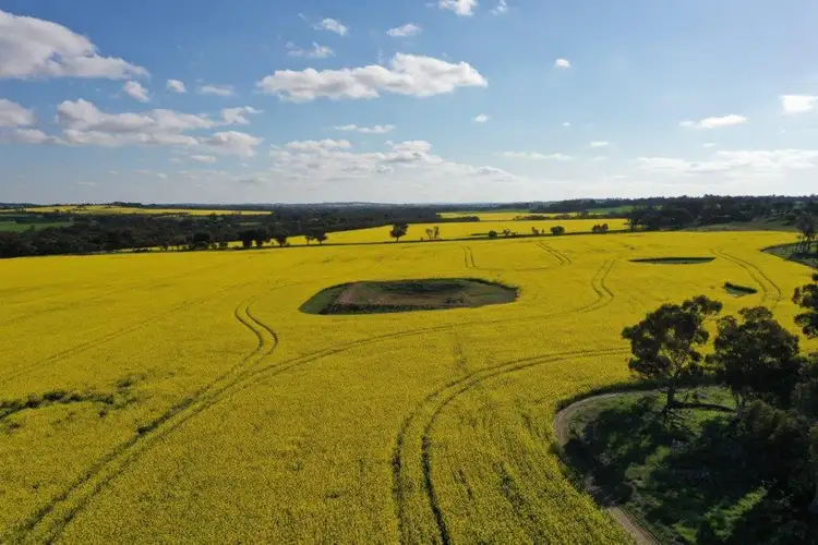 Third view of Homely rural property listing, 340 Walkers Road, Piesseville WA 6315