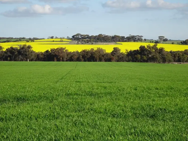 Fifth view of Homely rural property listing, 340 Walkers Road, Piesseville WA 6315