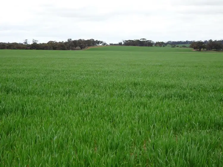 Sixth view of Homely rural property listing, 340 Walkers Road, Piesseville WA 6315