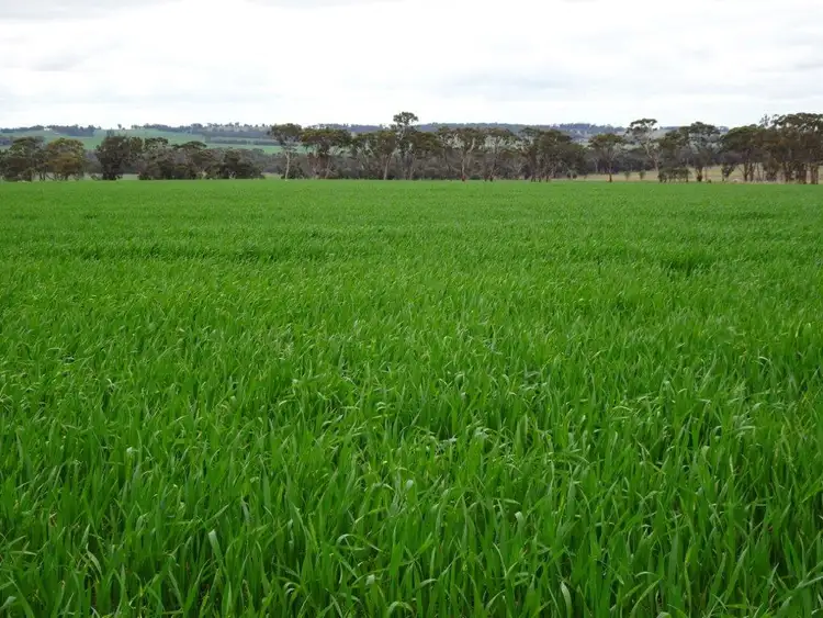 Seventh view of Homely rural property listing, 340 Walkers Road, Piesseville WA 6315
