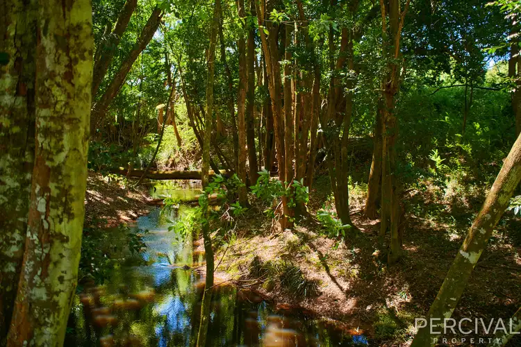 Fifth view of Homely rural property listing, Lot 97 & Lorne Road, Upsalls Creek NSW 2439