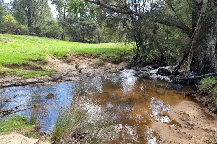 Fourth view of Homely rural property listing, 3735 Vasse Highway, Nannup WA 6275