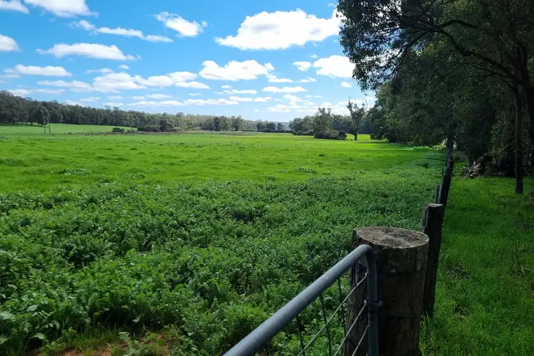 Seventh view of Homely rural property listing, 3735 Vasse Highway, Nannup WA 6275