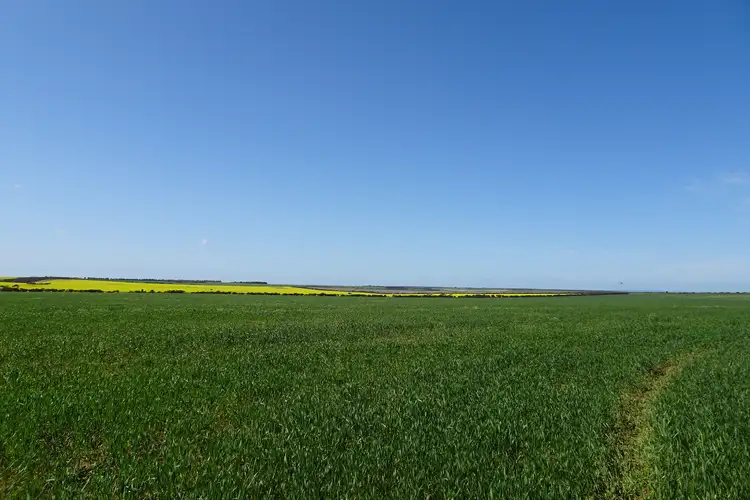 Second view of Homely rural property listing, 4 King Rocks Road West, Hyden WA 6359