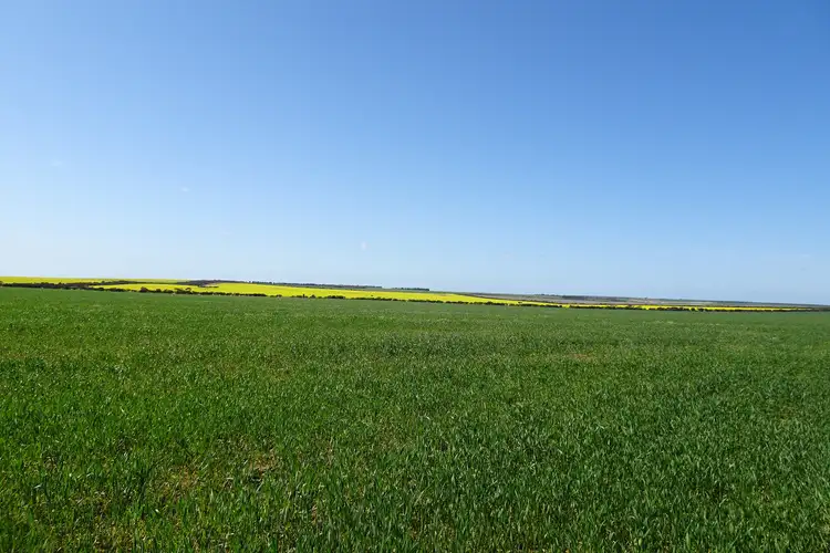 Third view of Homely rural property listing, 4 King Rocks Road West, Hyden WA 6359