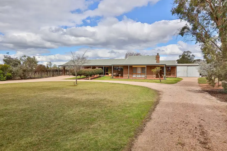 Main view of Homely house listing, 66 Cassia Street, Red Cliffs VIC 3496