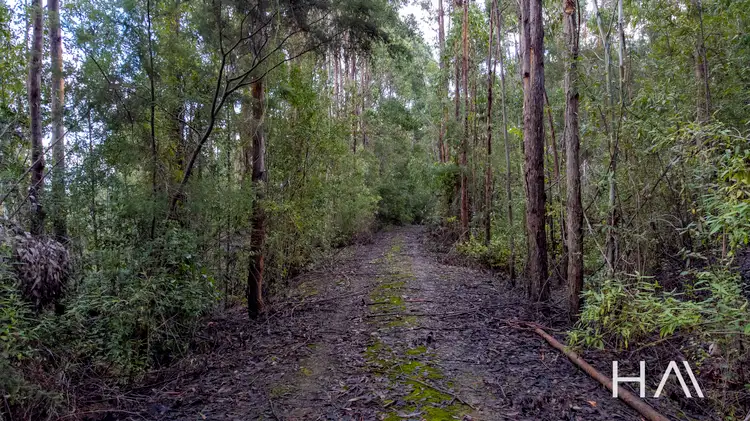Fifth view of Homely land listing, 262A Austins Road, Turners Marsh TAS 7267