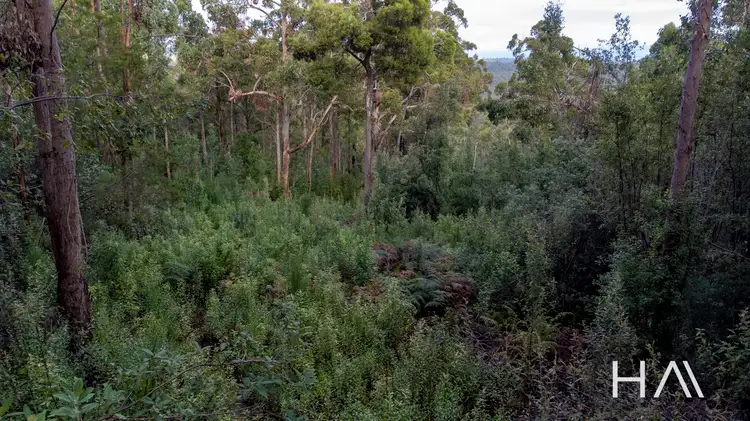 Sixth view of Homely land listing, 262A Austins Road, Turners Marsh TAS 7267