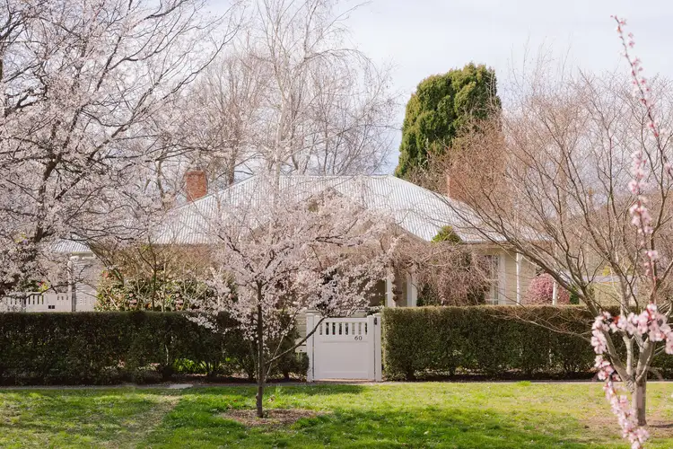 Third view of Homely house listing, 60 Paterson Street, Ainslie ACT 2602