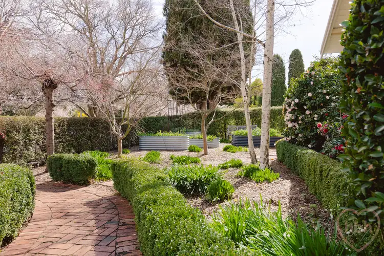 Fourth view of Homely house listing, 60 Paterson Street, Ainslie ACT 2602