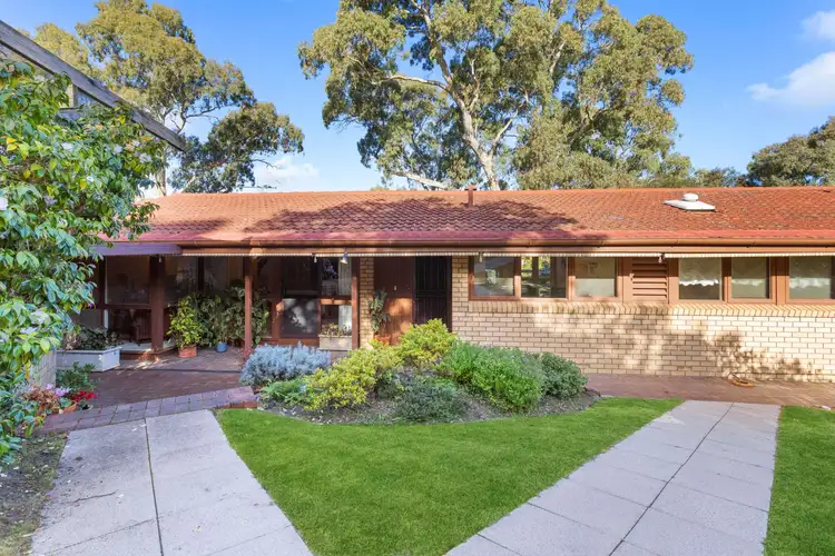 31 Diosma Drive, Coromandel Valley SA 5051