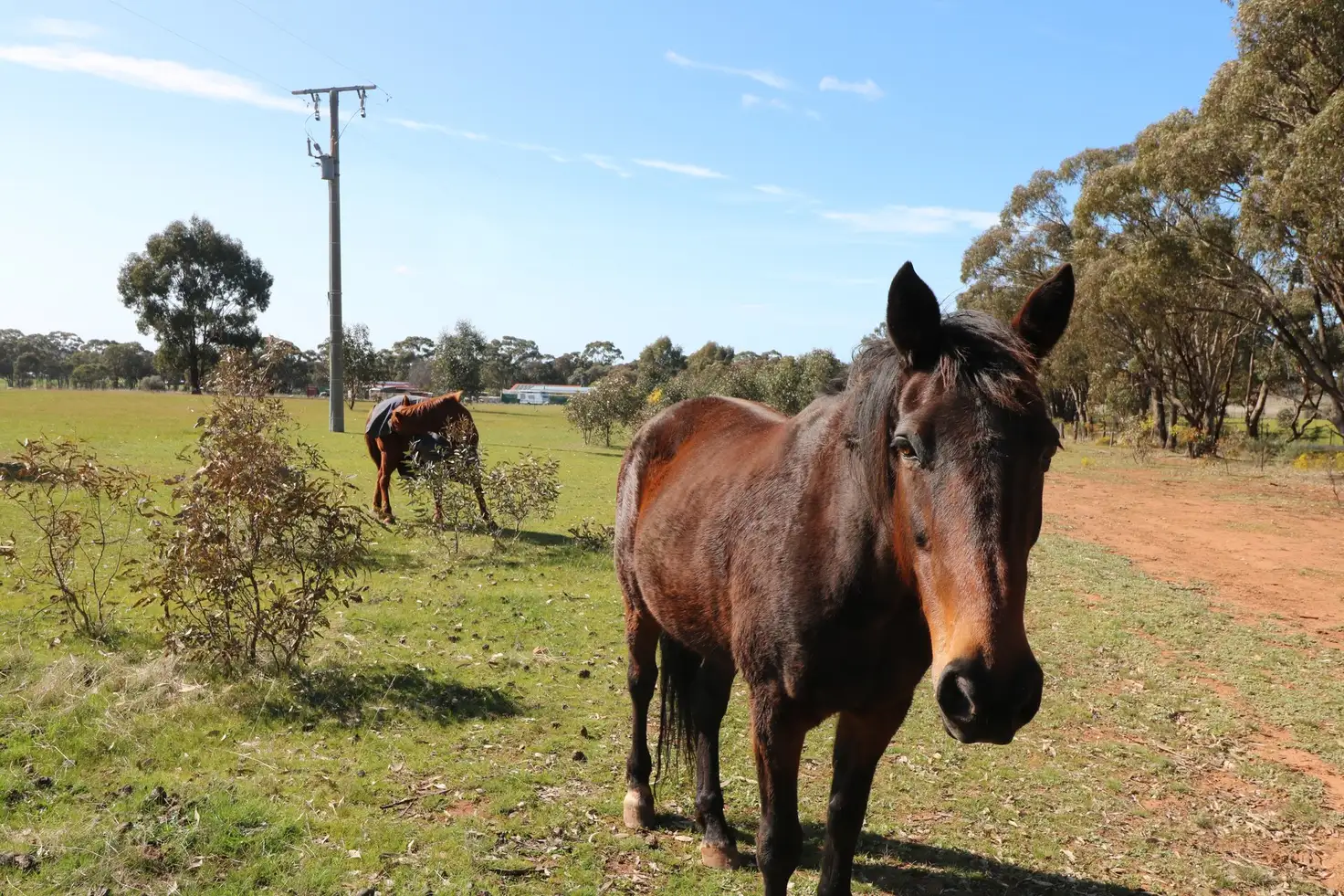 Main view of Homely rural property listing, Lot 1 Scotts - Titwobble Lane, Wedderburn VIC 3518