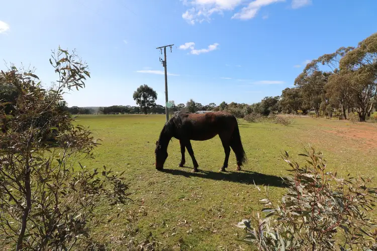 Fifth view of Homely rural property listing, Lot 1 Scotts - Titwobble Lane, Wedderburn VIC 3518