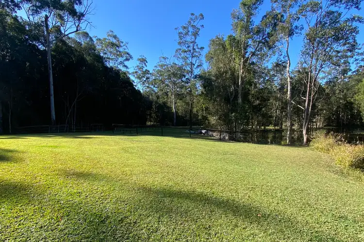 Fifth view of Homely house listing, 34 Bamboo Road, Palmwoods QLD 4555