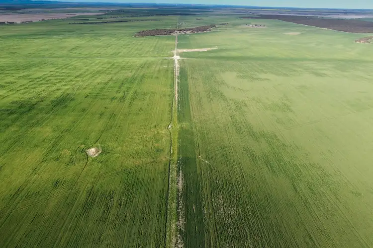 Second view of Homely rural property listing, Mellor Road, Lock SA 5633