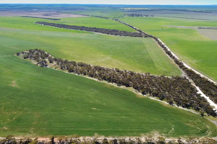 Fourth view of Homely rural property listing, Mellor Road, Lock SA 5633