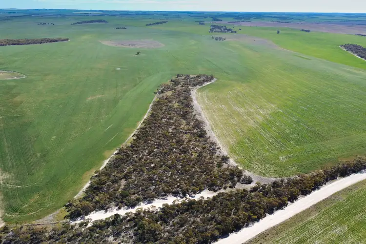 Fifth view of Homely rural property listing, Mellor Road, Lock SA 5633