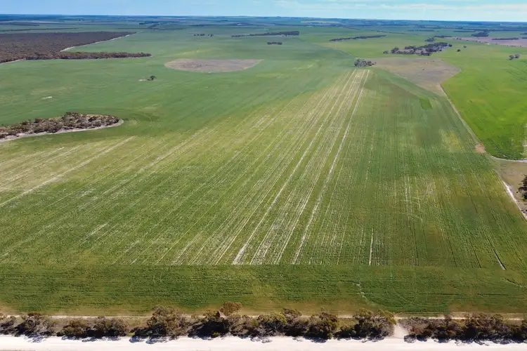 Seventh view of Homely rural property listing, Mellor Road, Lock SA 5633