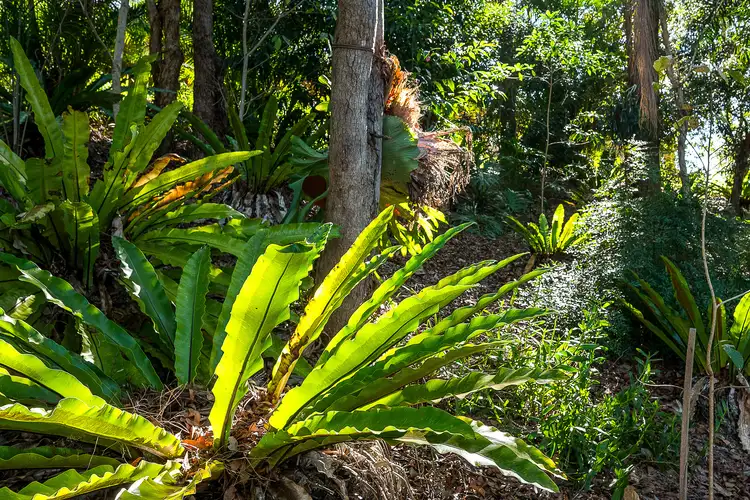 Third view of Homely house listing, 35 Branch Creek Road, Clear Mountain QLD 4500