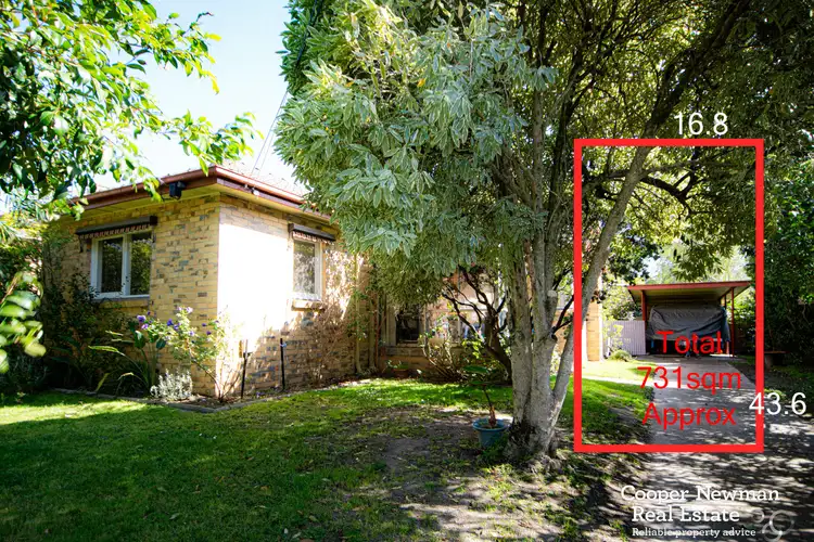 8 Anne Street, Blackburn North VIC 3130