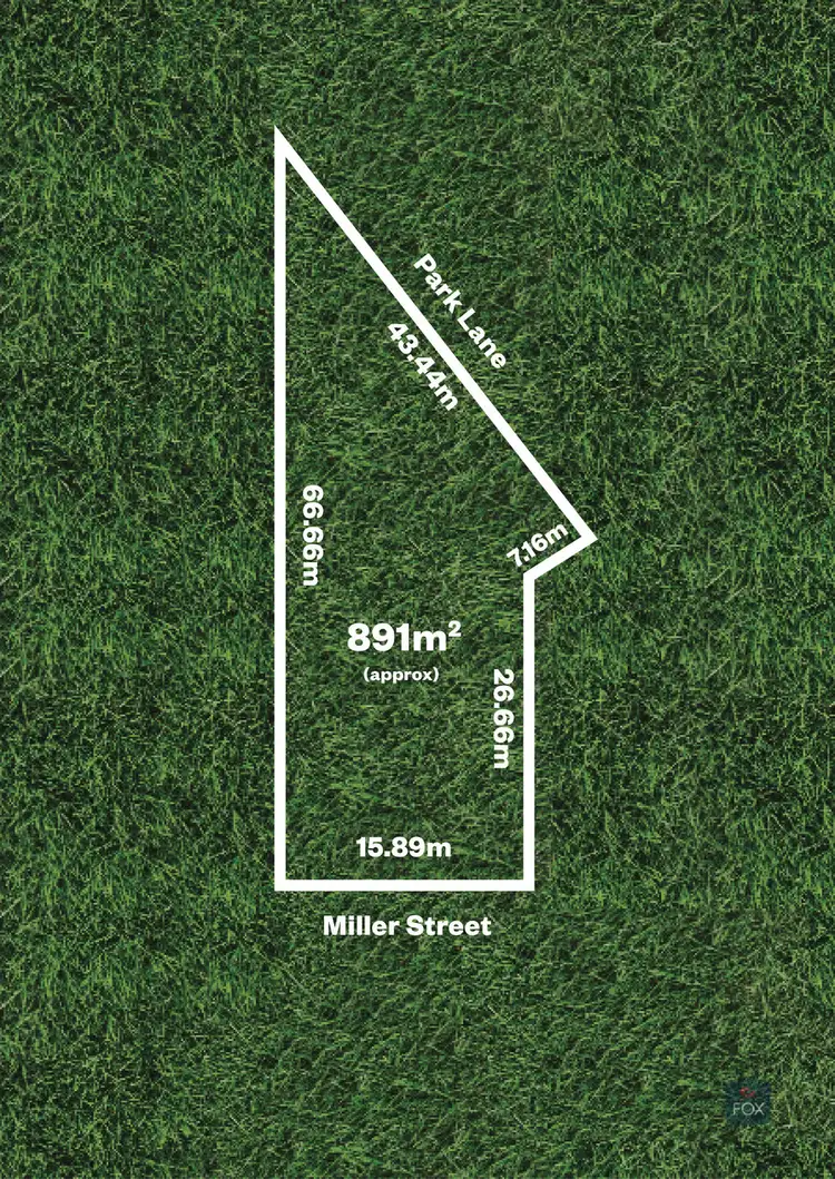 14. Miller Street, Unley SA 5061