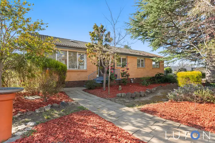 51 Horrocks Street, Torrens ACT 2607