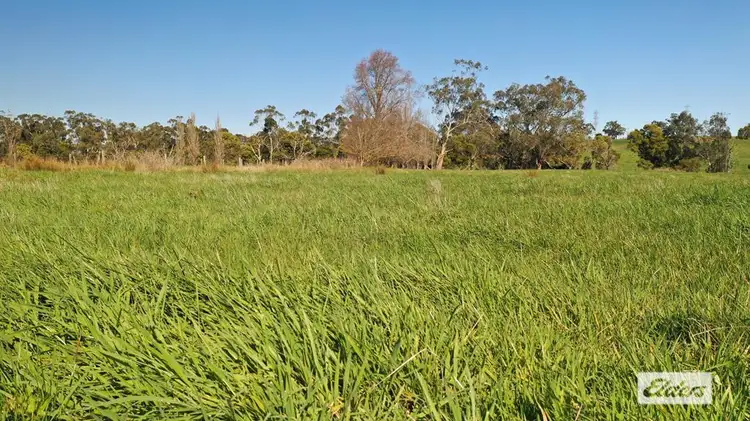 Fourth view of Homely rural property listing, 59 Parkins Road, Shady Creek VIC 3821