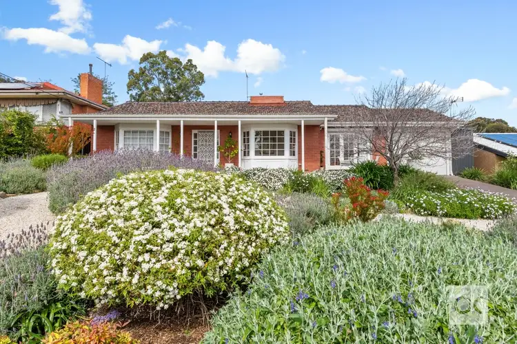 24 Alma Street, Panorama SA 5041