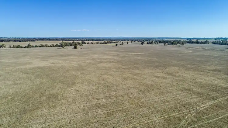 90R Mogriguy Road, Brocklehurst NSW 2830