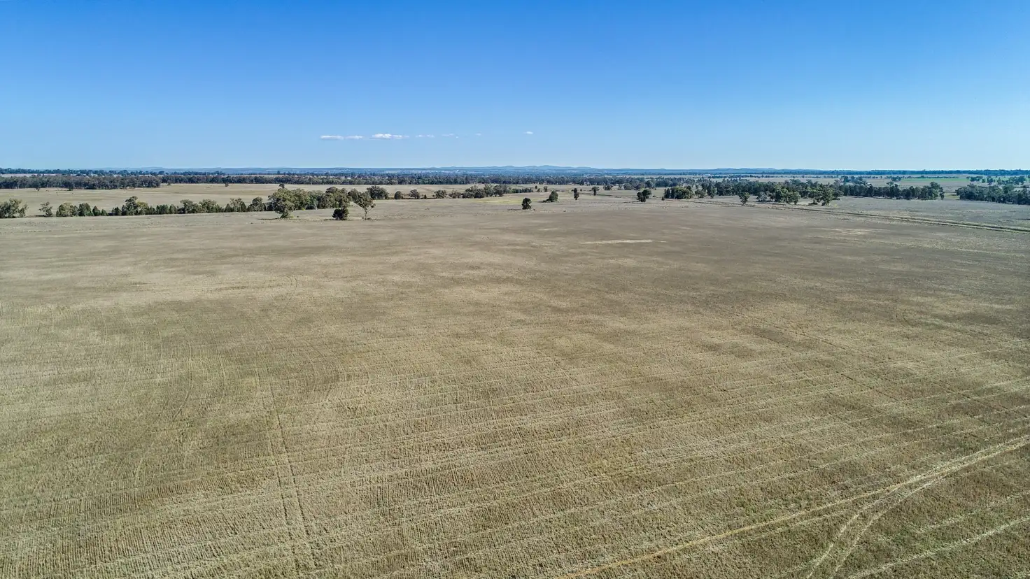 Main view of Homely rural property listing, 90R Mogriguy Road, Brocklehurst NSW 2830