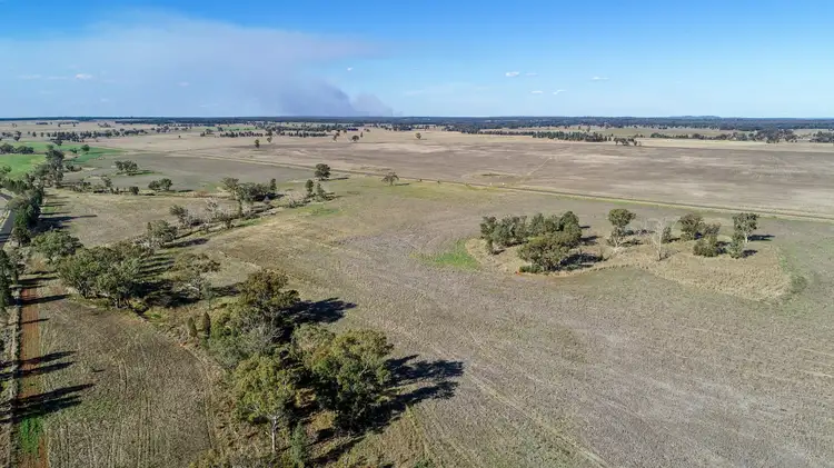 Third view of Homely rural property listing, 90R Mogriguy Road, Brocklehurst NSW 2830